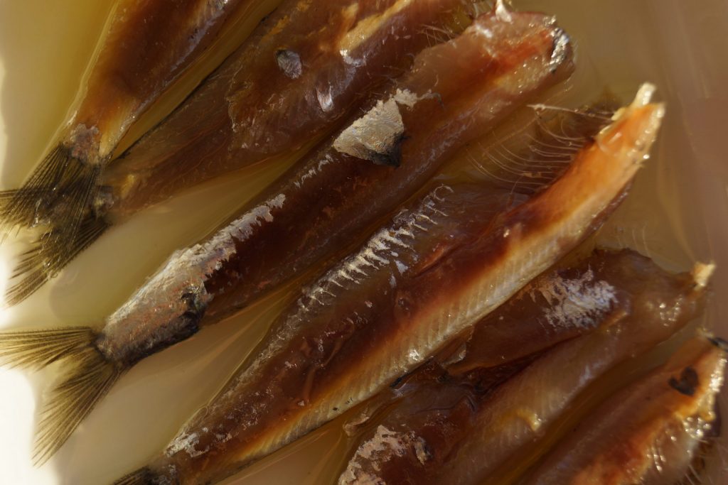 Σαρδέλα Καλλονής