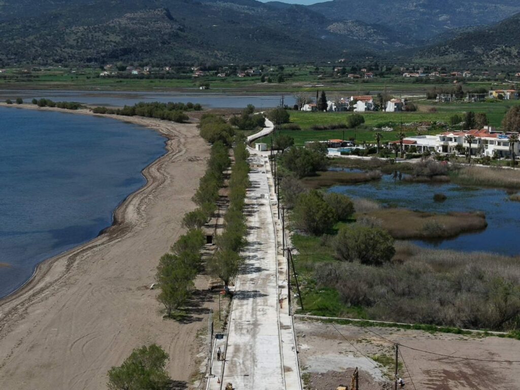mwlesvos