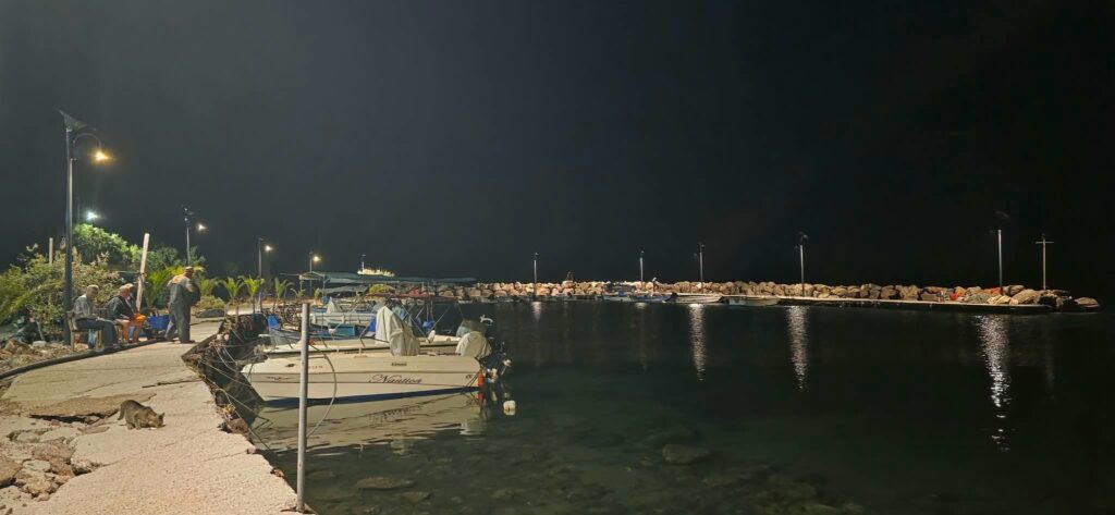 mwlesvos