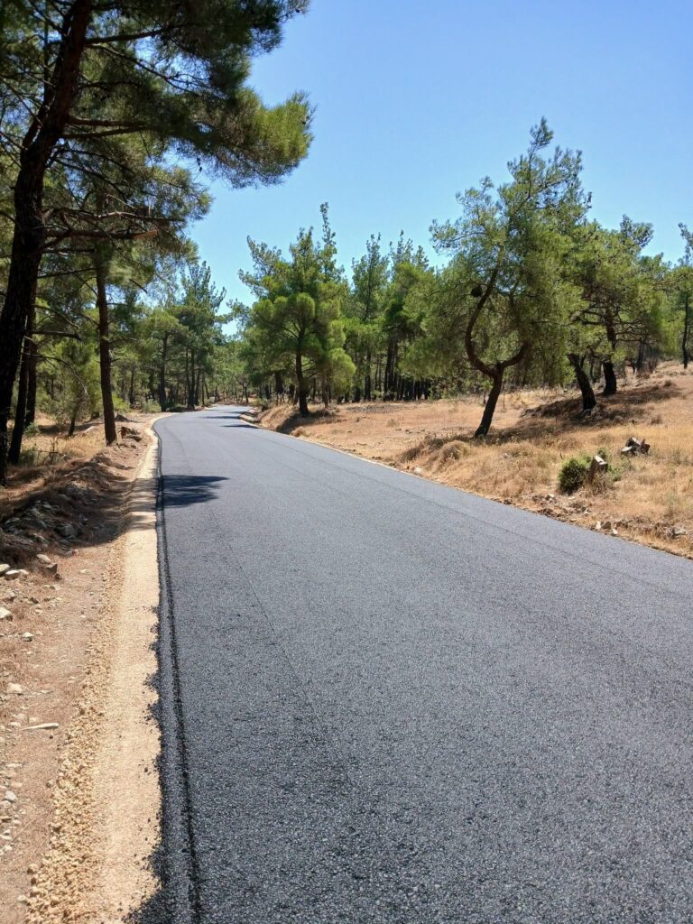 mwlesvos