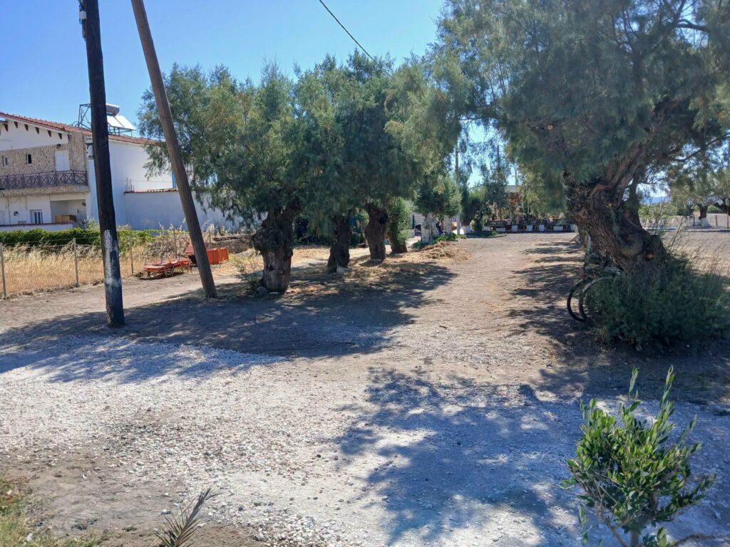 mwlesvos