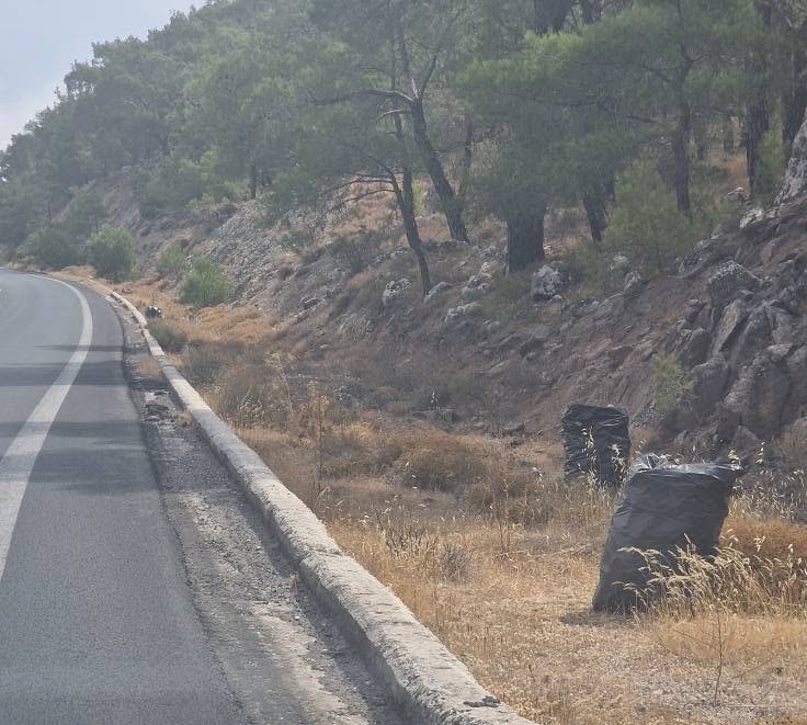 mwlesvos