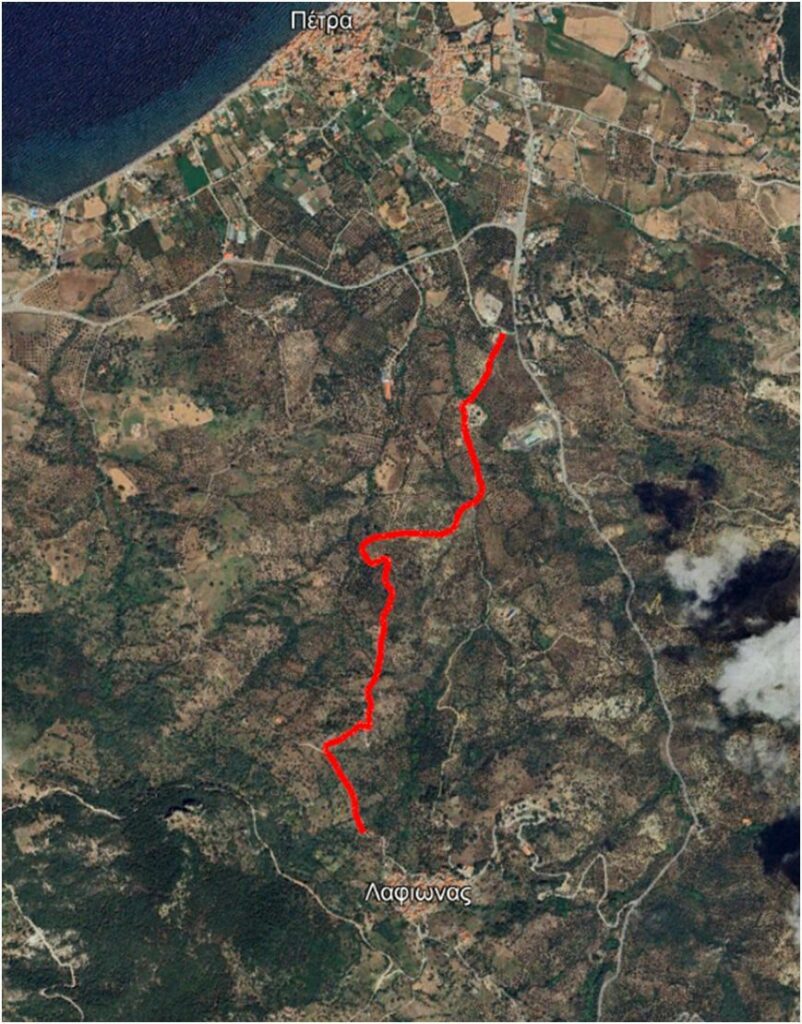 mwlesvos