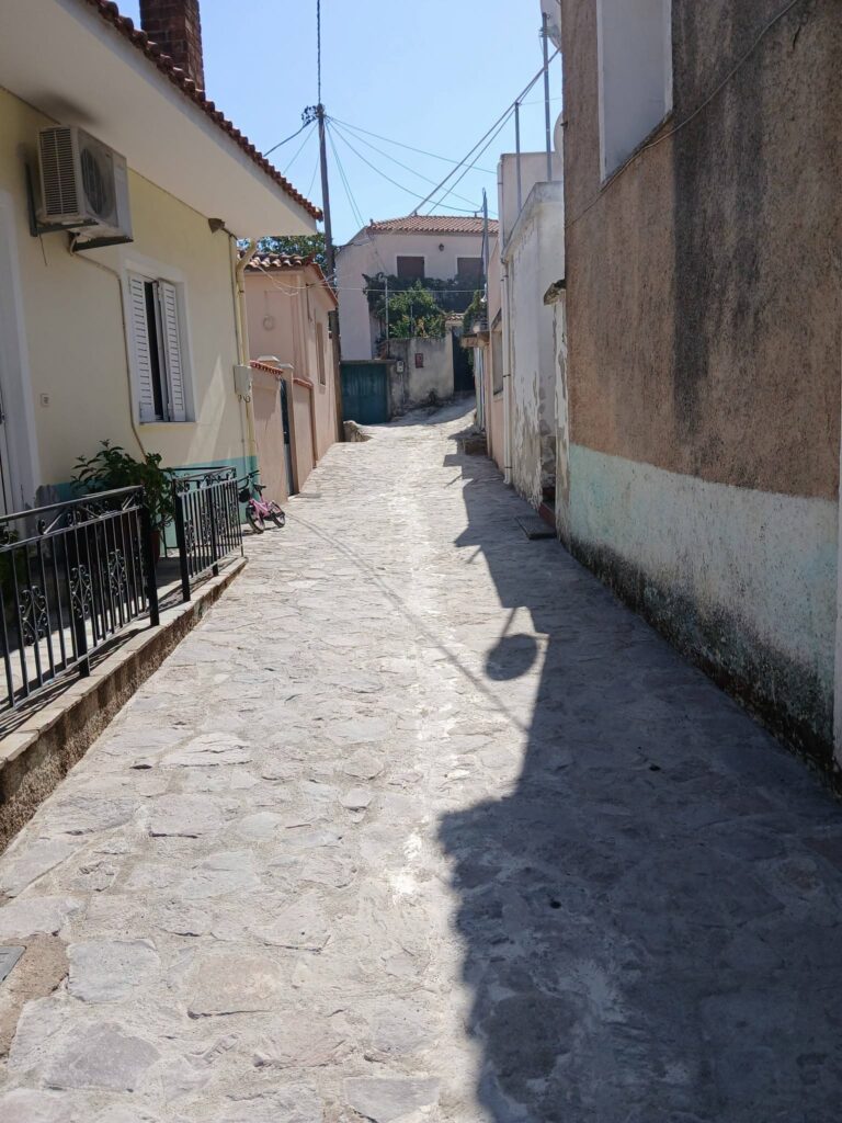 mwlesvos