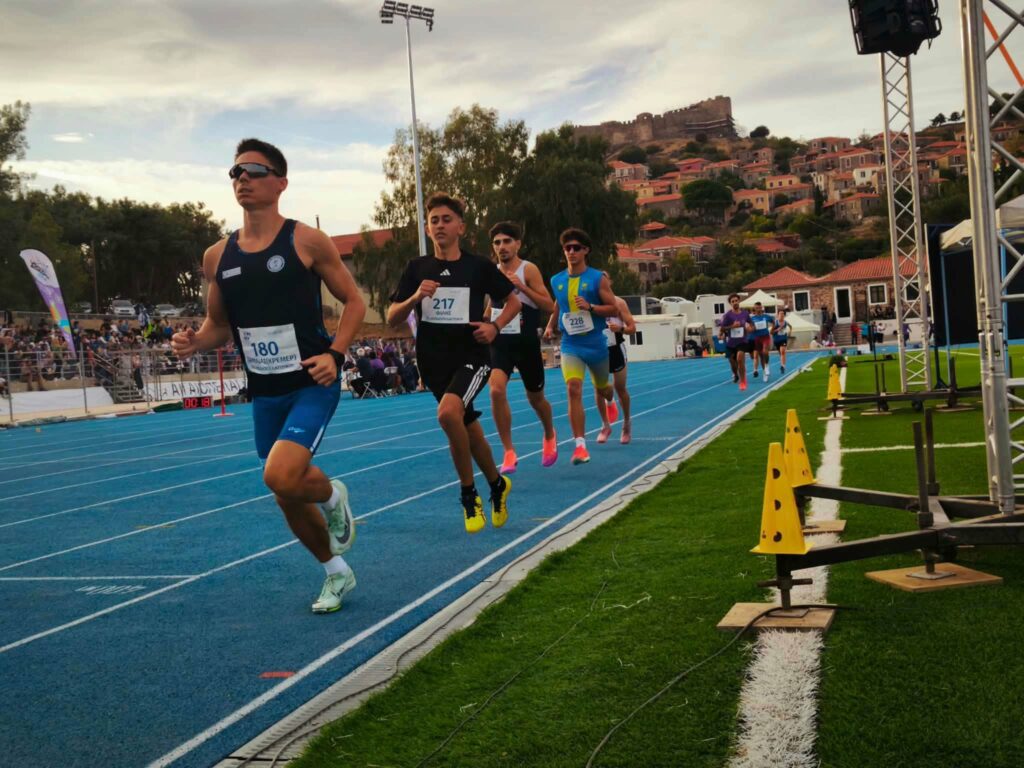 mwlesvos